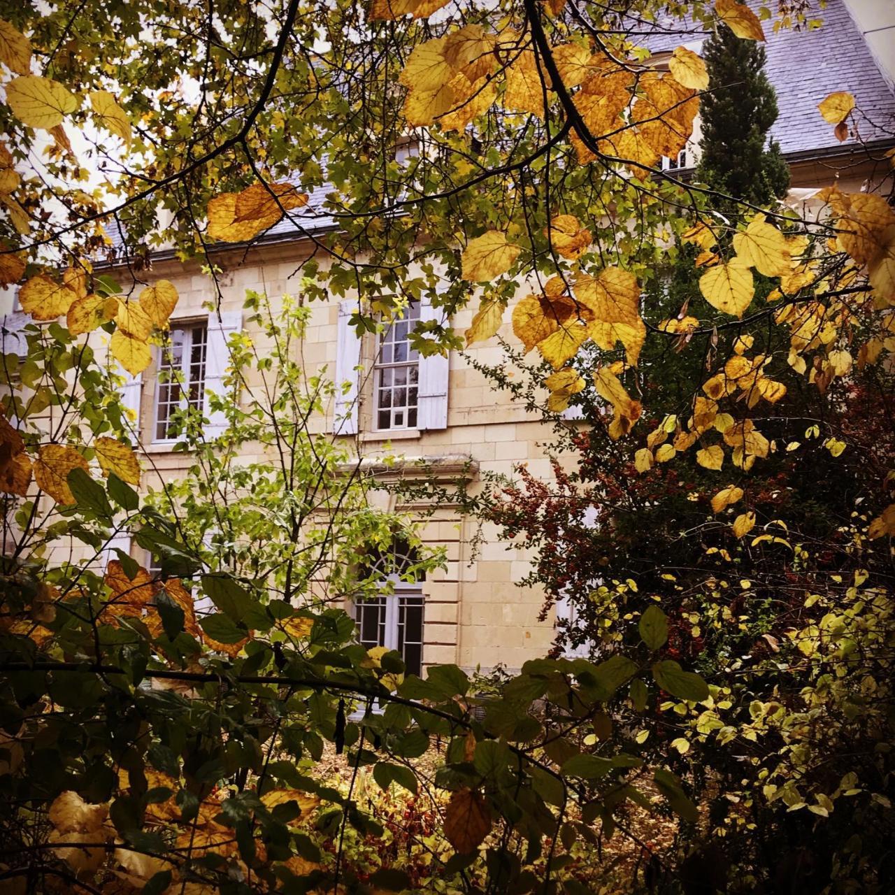 Bed and Breakfast Demeure De Beaulieu Le Coudray-Macouard Zewnętrze zdjęcie