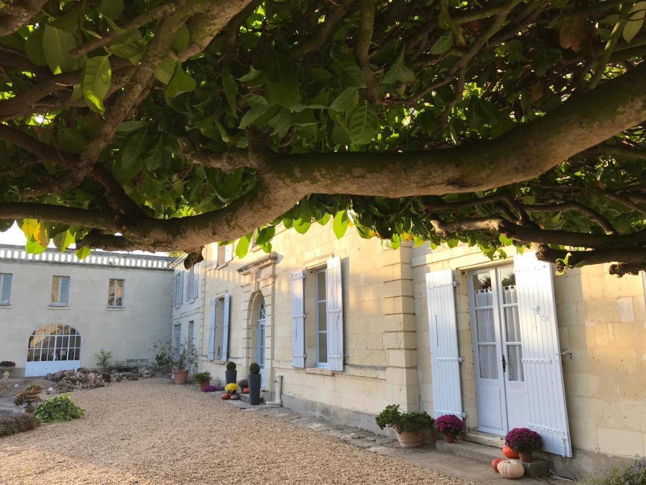 Bed and Breakfast Demeure De Beaulieu Le Coudray-Macouard Zewnętrze zdjęcie